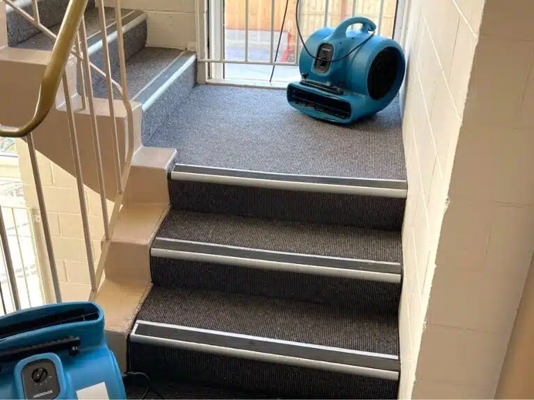 squeaky clean carpet cleaning for stairs