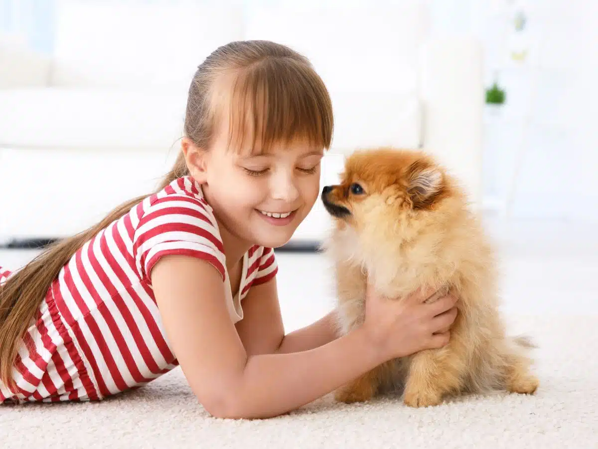 squeaky clean carpet cleaning services