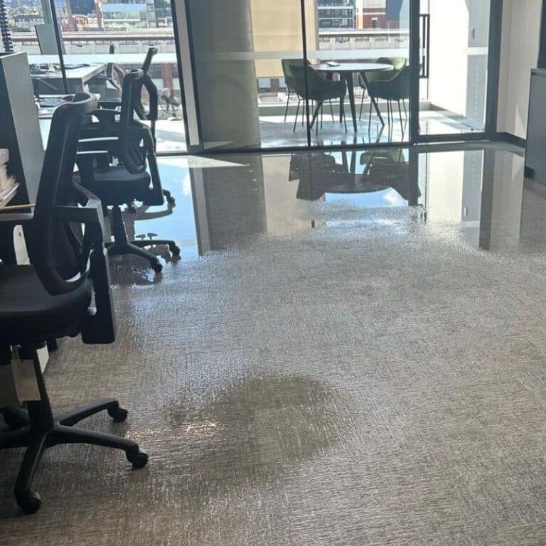squeaky clean water damage restoration