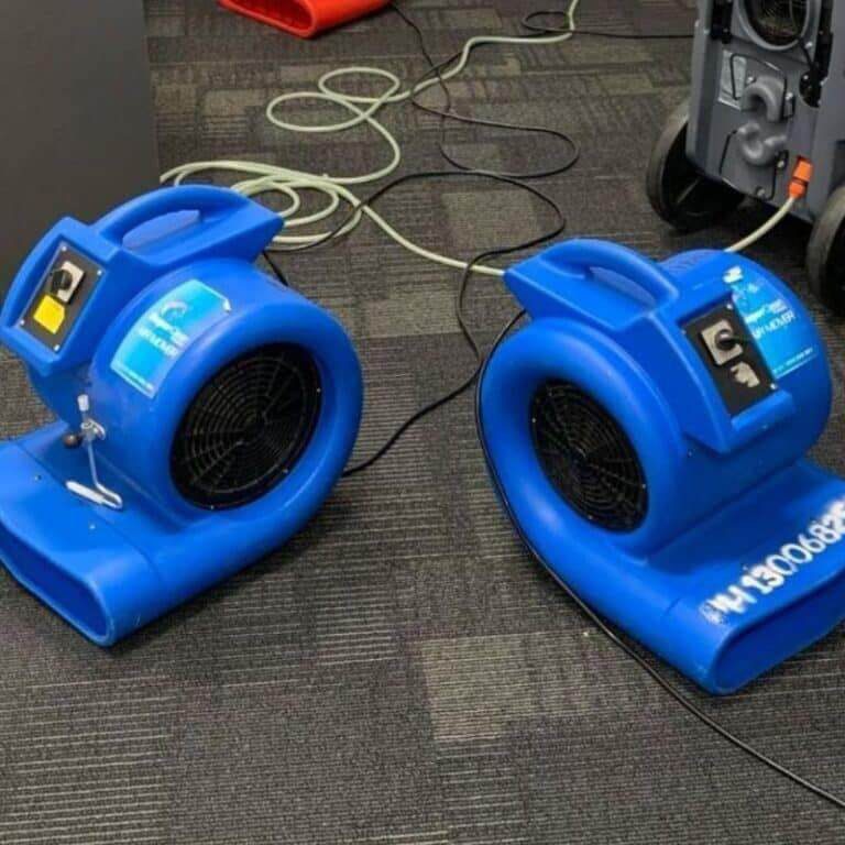 squeaky clean water damage restoration services