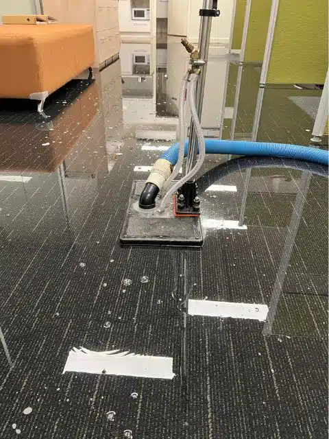 squeaky wet carpet drying finance brokers office