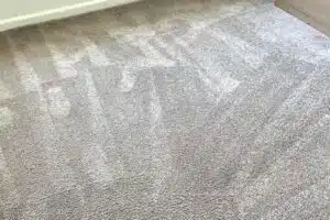 squeakys clean carpet after cleaning
