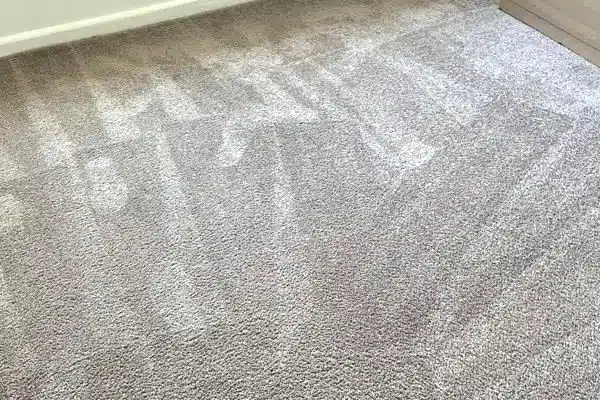 squeakys clean carpet after cleaning