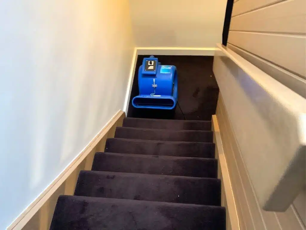 squeaky clean carpet cleaning stairs