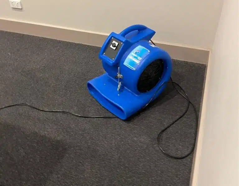 the squeaky clean team wet carpet drying