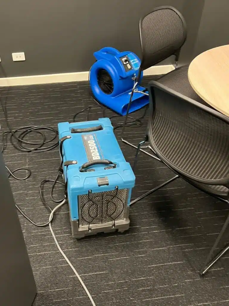wet carpet drying melbourne