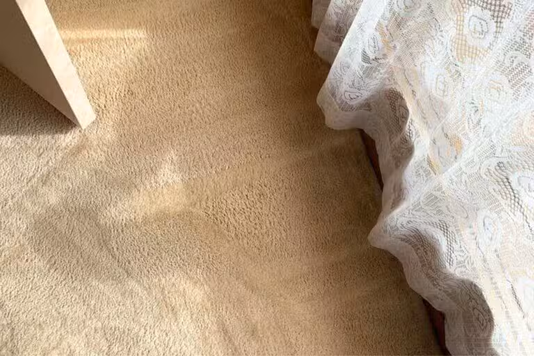 carpet after cleaning squeaky clean team