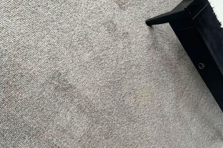 carpet after cleaning the squeaky clean team
