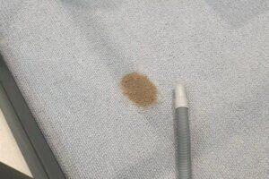 carpet before cleaning squeaky clean
