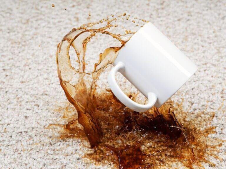 carpet cleaning collingwood