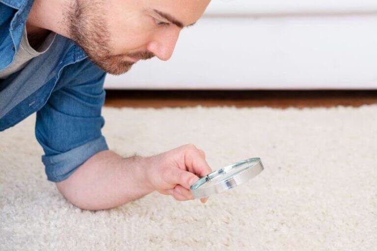 clean carpet health happiness