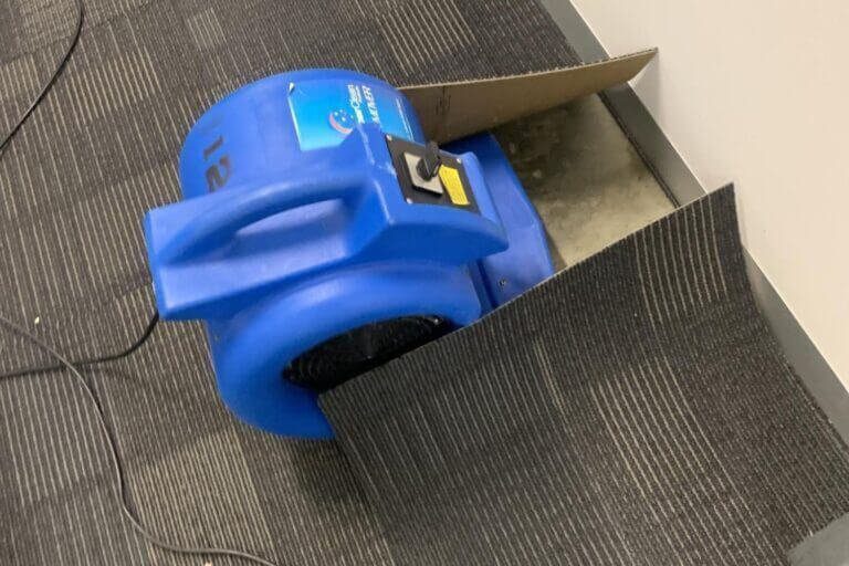squeaky bayside medical centre water damage restoration (2)