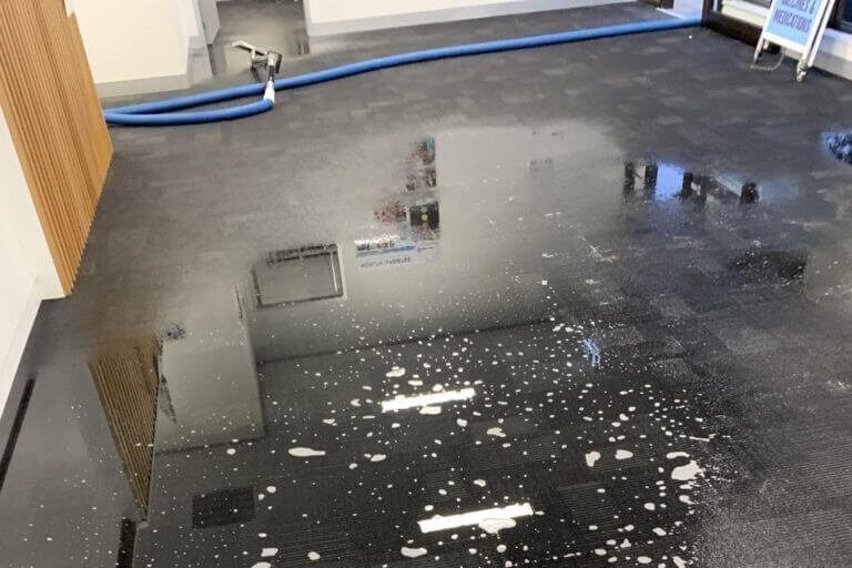 squeaky bayside medical centre water damage restoration (5)
