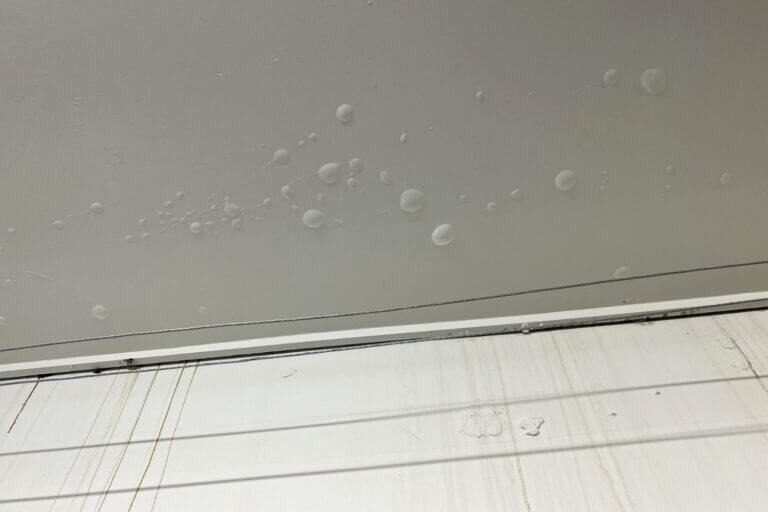squeaky clean svdp store flooding restoration (3)