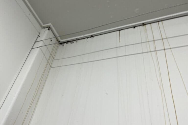 squeaky clean svdp store flooding restoration (6)
