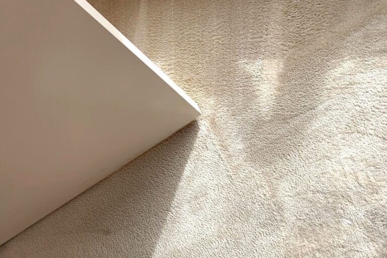 squeaky clean team alfred health carpet cleaning (2)