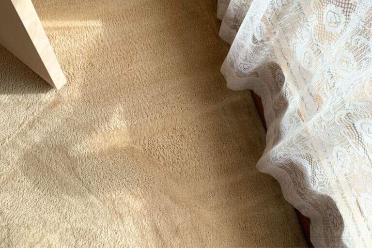 squeaky clean team alfred health carpet cleaning (4)