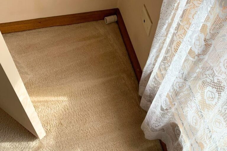 squeaky clean team alfred health carpet cleaning (6)