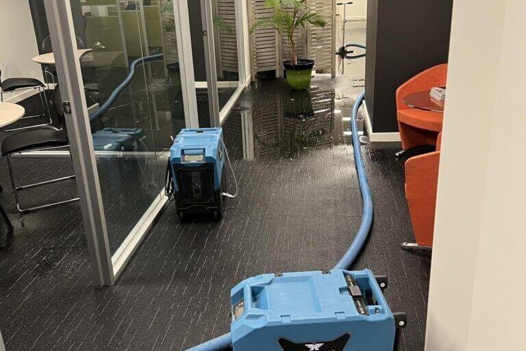 squeaky michelle lanigan real estate flooded office restoration (2)