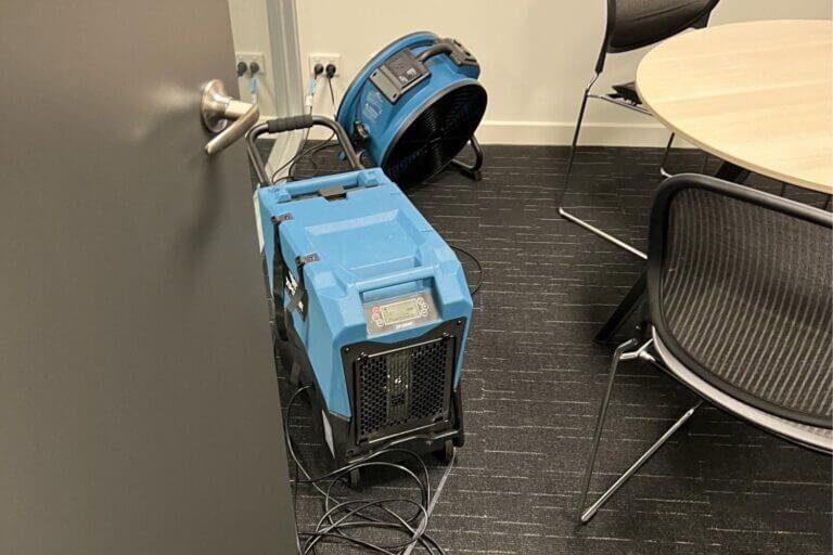 squeaky michelle lanigan real estate flooded office restoration (5)