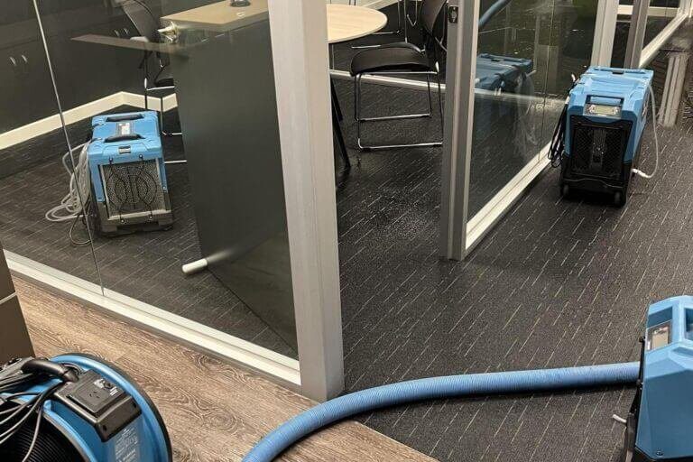 squeaky michelle lanigan real estate flooded office restoration