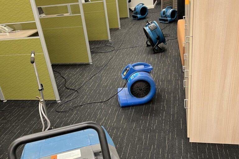 squeaky michelle lanigan real estate flooded office restoration (8)