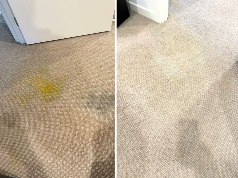 squeakys bad stain removal before and after clean