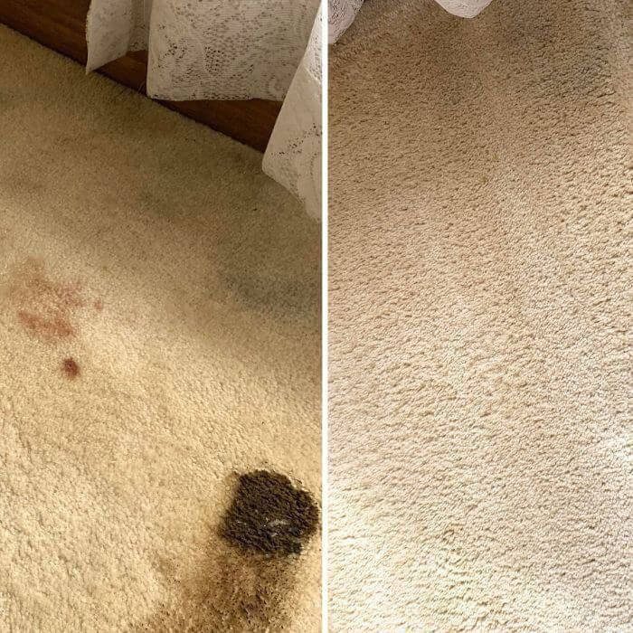 squeakys best carpet cleaning melbourne
