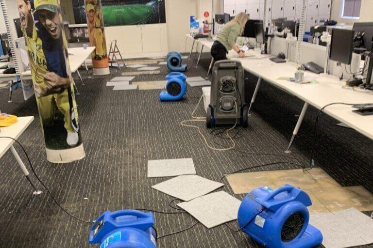 squeaky clean cricket australia water damage restoration (2)