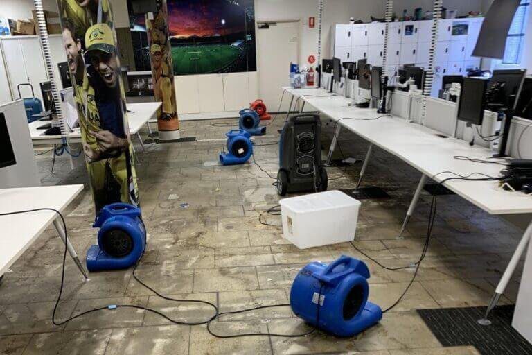 squeaky clean cricket australia water damage restoration