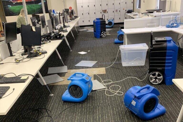 squeaky cricket australia water damage