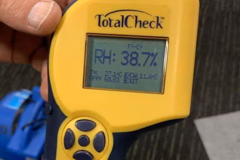 squeaky cricket australia water damage moisture check