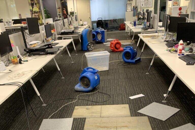 squeaky cricket australia water damage restoration (2)