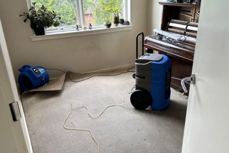 gary peer real estate water damage restoration (2)