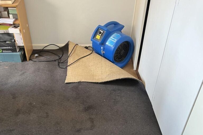 gary peer real estate water damage restoration (6)