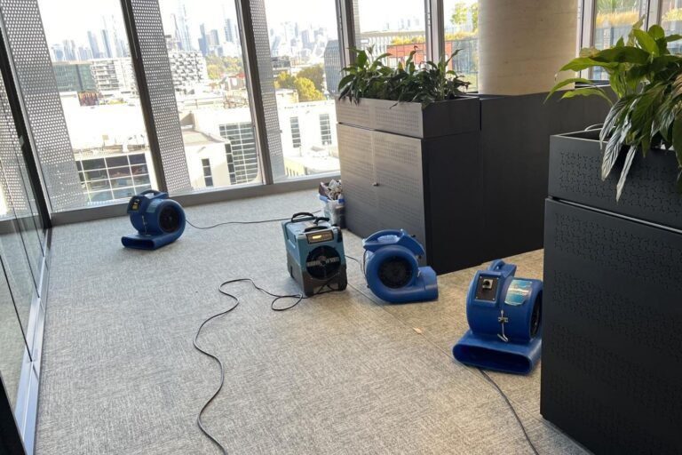 restoring gofarm cremorne vic office flood (3)