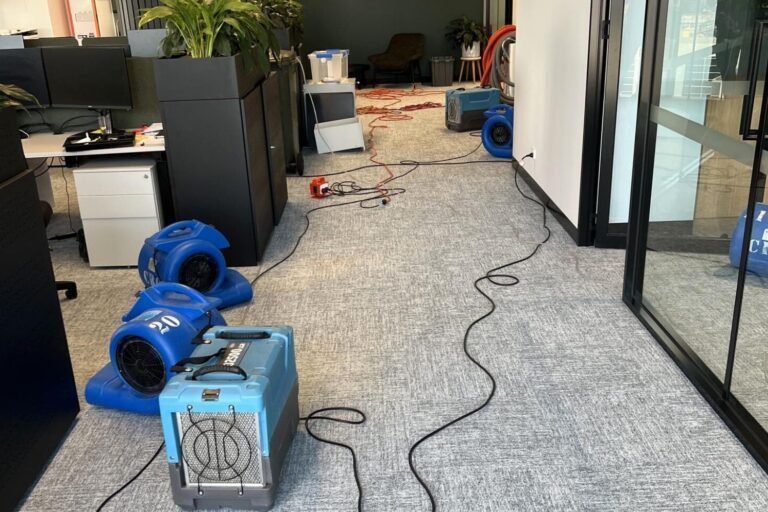 restoring gofarm cremorne vic office flood (4)
