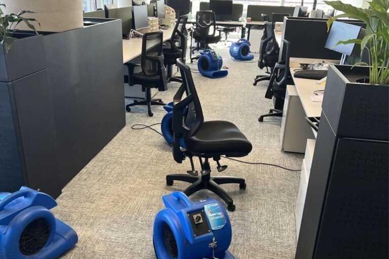 restoring gofarm cremorne vic office flood (5)