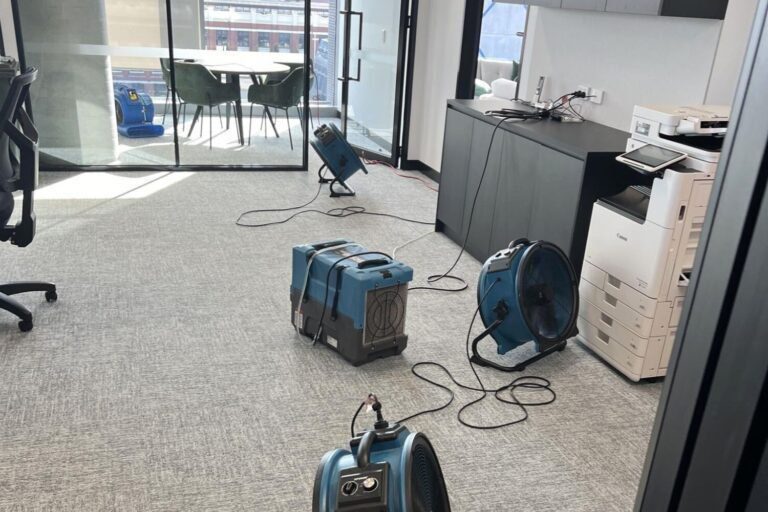 restoring gofarm cremorne vic office flood (6)