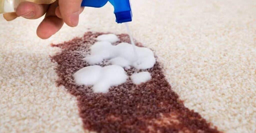 how to get blood out of carpet