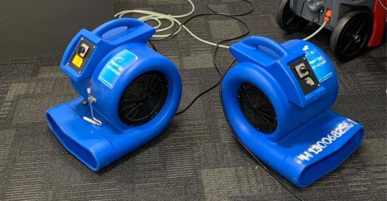 how to dry wet carpet quickly diy