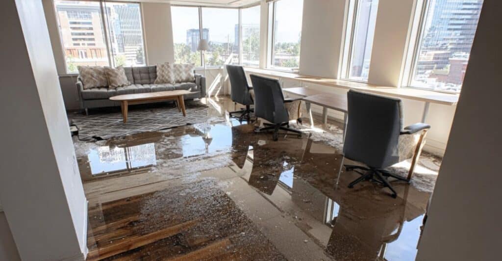 water damage insurance claims squeaky clean team