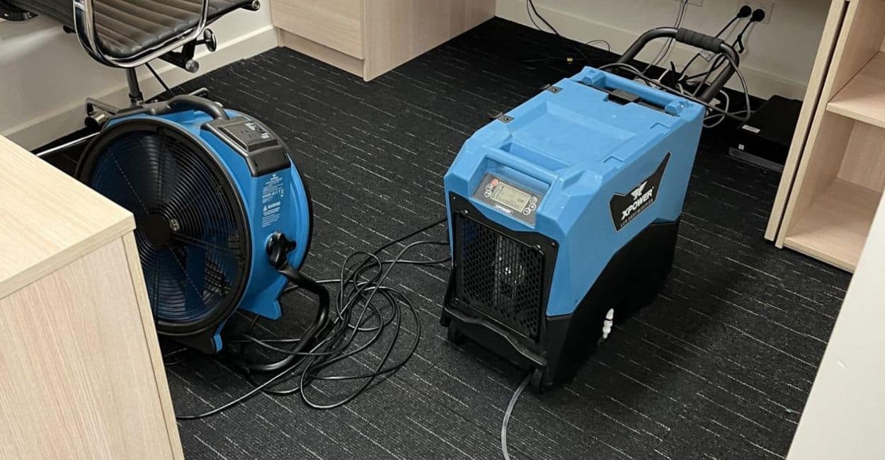 real cost of water damage melbourne