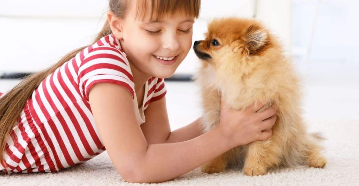 carpet cleaning health happiness