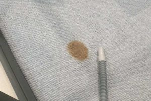 carpet before cleaning squeaky clean